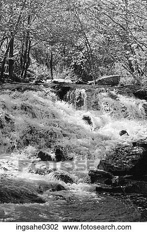 Small waterfall in forest View Large Photo Image Stock Image - Small waterfall in forest . Fotosearch