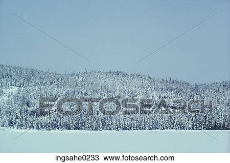 Stock Image - Snow-covered field . Fotosearch