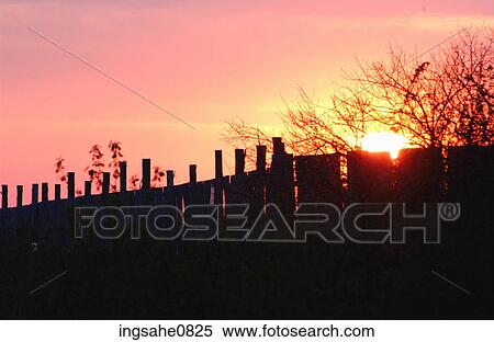 Sunset through wooden fence View Large Photo Image Stock Photography - Sunset through wooden fence. Fotosearch