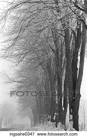 Stock Photo - Winter landscape and road . Fotosearch