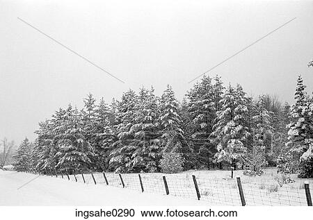 Stock Image - Winter landscape with forest . Fotosearch