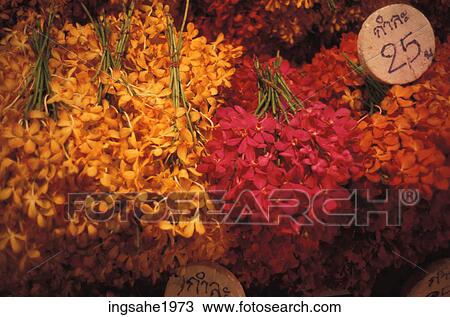 Bunches of Flowers at market stall View Large Photo Image Stock Image - Bunches of Flowers at market stall . Fotosearch
