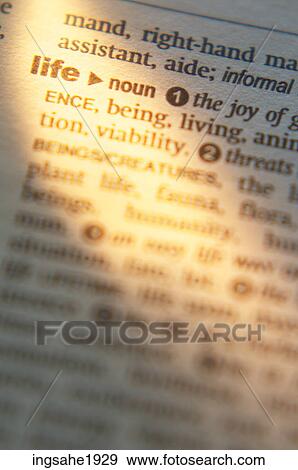 Definition of life BE View Large Photo Image Stock Photo - Definition of life BE. Fotosearch