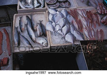 Fish market in Hong Kong View Large Photo Image Stock Photo - Fish market in Hong Kong. Fotosearch