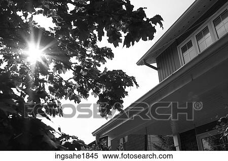 Stock Photography - House and tree in the sun BE. Fotosearch