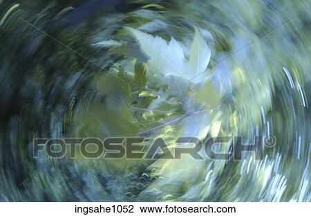 Stock Image - Leaves in a whirlwind. Fotosearch
