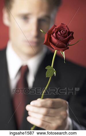 Stock Photo - Man in suit holding rose . Fotosearch