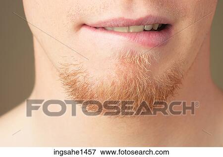 Man's mouth and whiskers View Large Photo Image Stock Photo - Man's mouth and whiskers. Fotosearch