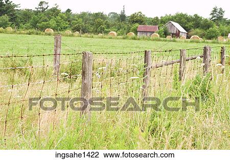 Wire fence around farm field View Large Photo Image Stock Image - Wire fence around farm field. Fotosearch