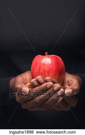 Woman holding red apple BE 1 View Large Photo Image Stock Photo - Woman holding red apple BE 1. Fotosearch
