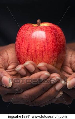 Stock Photo - Woman holding red apple BE. Fotosearch