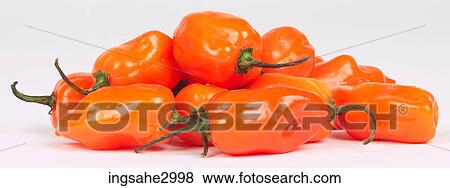 red bell peppers View Large Photo Image Stock Photo - red bell peppers . Fotosearch