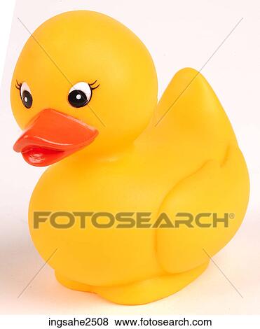 Single yellow duck View Large Photo Image Stock Photo - Single yellow duck . Fotosearch