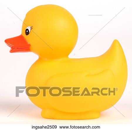 Single yellow duck View Large Photo Image Stock Photo - Single yellow duck . Fotosearch