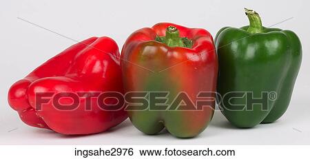 three peppers View Large Photo Image Stock Photograph - three peppers . Fotosearch