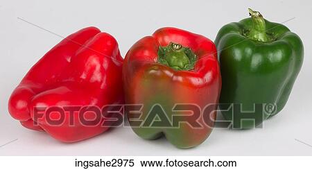 three peppers View Large Photo Image Stock Photography - three peppers . Fotosearch