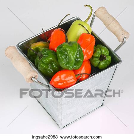 vegetable basket View Large Photo Image Stock Photo - vegetable basket . Fotosearch