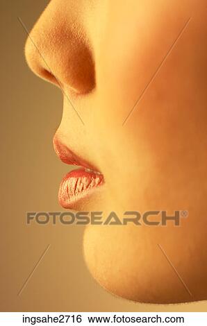 Woman's profile View Large Photo Image Stock Photograph - Woman's profile . Fotosearch