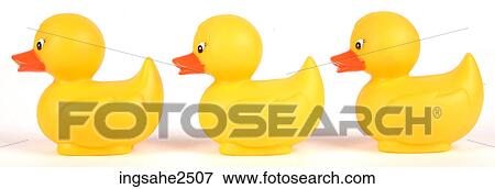 Yellow ducks in a row View Large Photo Image Stock Photo - Yellow ducks in a row . Fotosearch