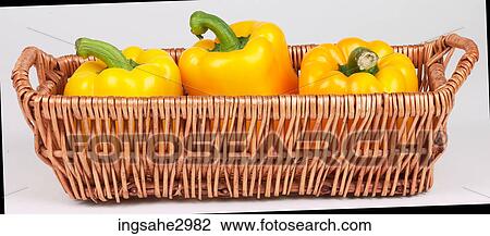yellow peppers in basket View Large Photo Image Stock Image - yellow peppers in basket . Fotosearch