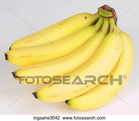 موزات Cavendish ألبوم الصور Ingsahe3042 Fotosearch