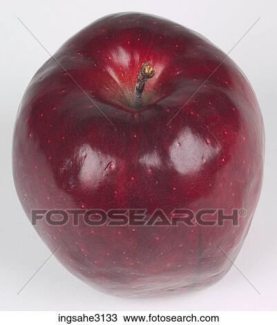 Apple View Large Photo Image Stock Image - Apple . Fotosearch