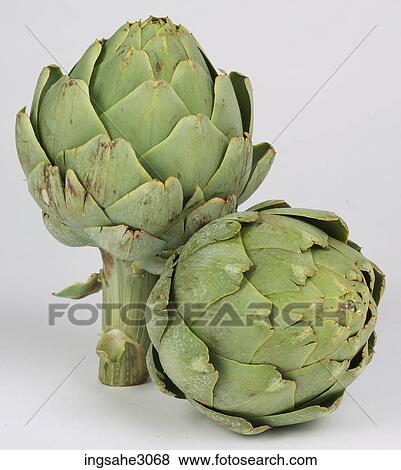 Artichoke View Large Photo Image Stock Photo - Artichoke . Fotosearch