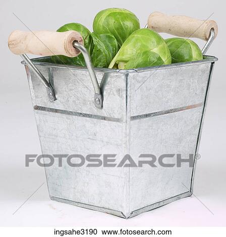 Artichokes in basket View Large Photo Image Stock Image - Artichokes in basket . Fotosearch