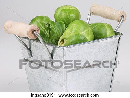 Artichokes in basket View Large Photo Image Stock Image - Artichokes in basket . Fotosearch