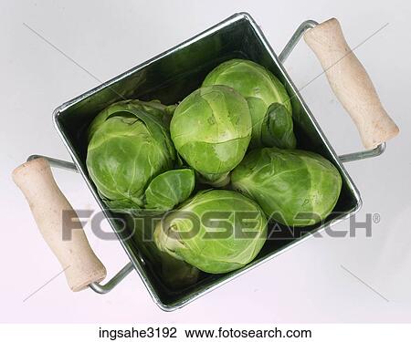 Artichokes in basket View Large Photo Image Stock Image - Artichokes in basket . Fotosearch