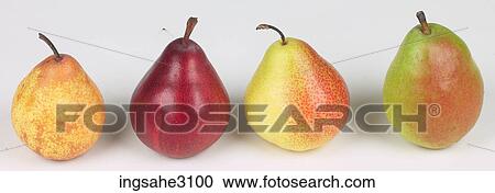 assorted pears View Large Photo Image Stock Image - assorted pears . Fotosearch
