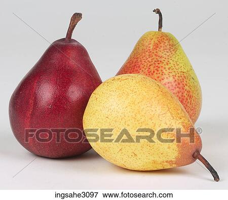 assorted pears View Large Photo Image Stock Photo - assorted pears . Fotosearch