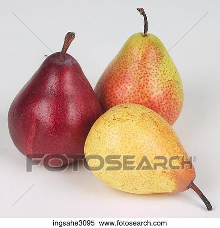 assorted pears View Large Photo Image Stock Photography - assorted pears . Fotosearch