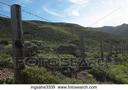 Barbed wire fence and hills View Large Photo Image Stock Photo - Barbed wire fence and hills . Fotosearch