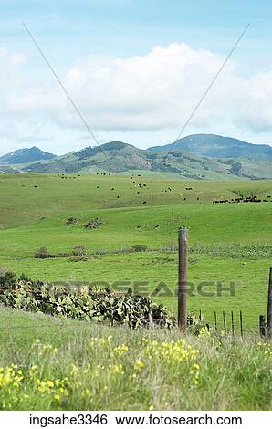Barbed wire fence View Large Photo Image Stock Photograph - Barbed wire fence . Fotosearch