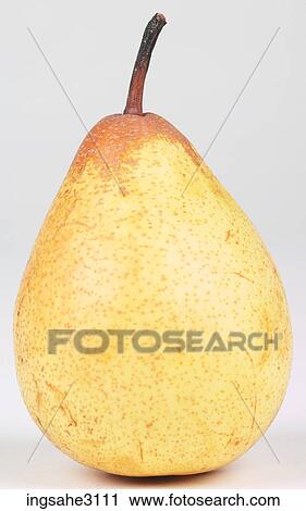 Bartlett pear View Large Photo Image Stock Image - Bartlett pear . Fotosearch