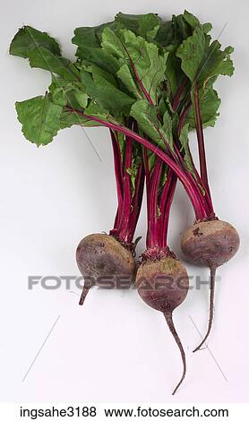 beetroots View Large Photo Image Stock Photo - beetroots . Fotosearch