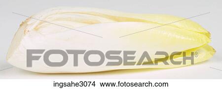 bok choy View Large Photo Image Picture - bok choy . Fotosearch