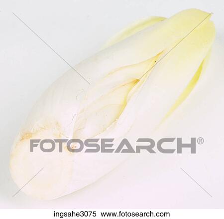 bok choy View Large Photo Image Stock Photography - bok choy . Fotosearch