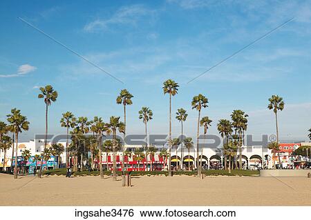 Buildings and palm tree View Large Photo Image Stock Photograph - Buildings and palm tree . Fotosearch