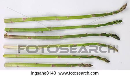 bunch of Asparagus View Large Photo Image Stock Image - bunch of Asparagus . Fotosearch