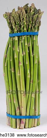 bunch of Asparagus View Large Photo Image Stock Photo - bunch of Asparagus . Fotosearch