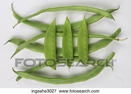 bunch of Lima beans View Large Photo Image Stock Photo - bunch of Lima beans . Fotosearch