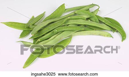 bunch of Lima beans View Large Photo Image Stock Photography - bunch of Lima beans . Fotosearch