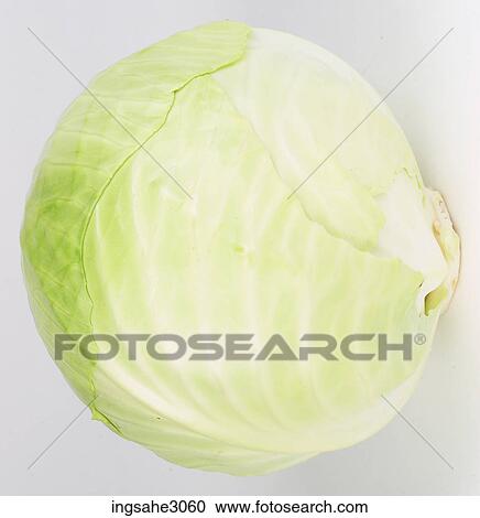 cabbage View Large Photo Image Stock Image - cabbage . Fotosearch