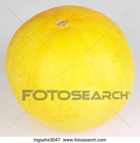 canary melon View Large Photo Image Stock Photo - canary melon . Fotosearch