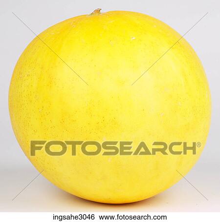 canary melon View Large Photo Image Stock Photograph - canary melon . Fotosearch