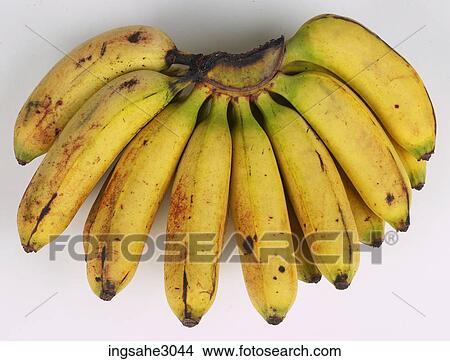 Cavendish bananas View Large Photo Image Picture - Cavendish bananas . Fotosearch