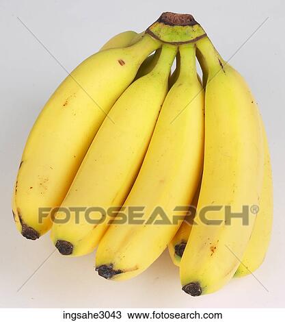 Cavendish bananas View Large Photo Image Stock Image - Cavendish bananas . Fotosearch