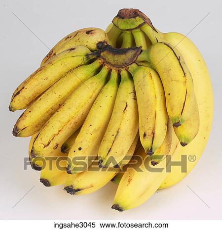 Cavendish bananas View Large Photo Image Stock Photography - Cavendish bananas . Fotosearch